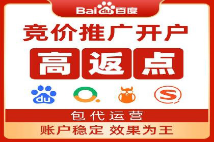 SEM运营推广策略：成功案例解析